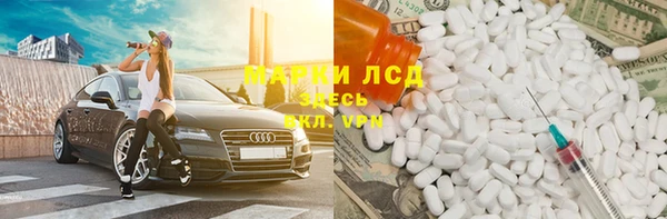 винт Алзамай