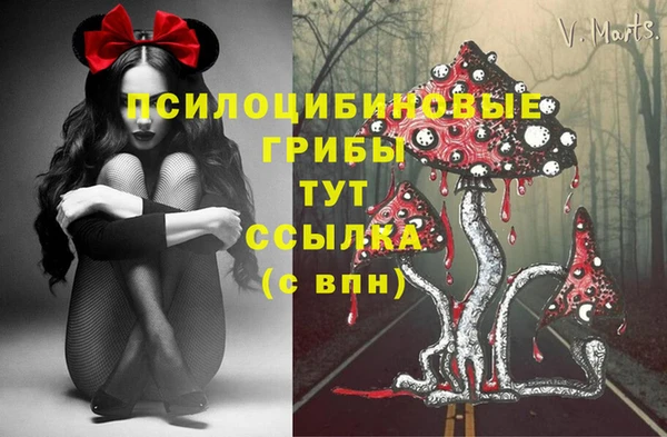 винт Алзамай