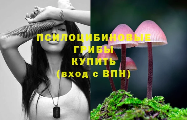 МДМА Алексин