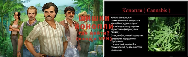 винт Алзамай