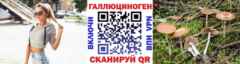 Псилоцибиновые грибы Psilocybe  Сарапул 